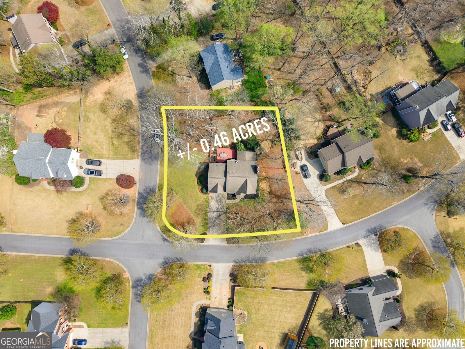 6505 Dressage Crossing Cumming - Photo 49