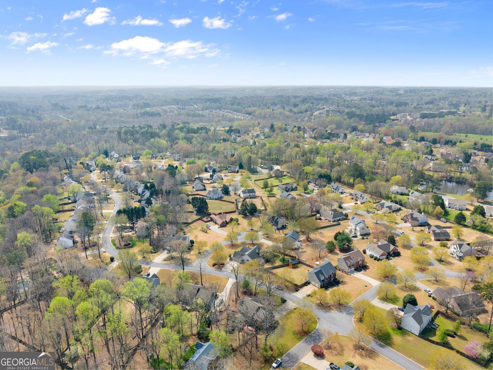 6505 Dressage Crossing Cumming - Photo 51