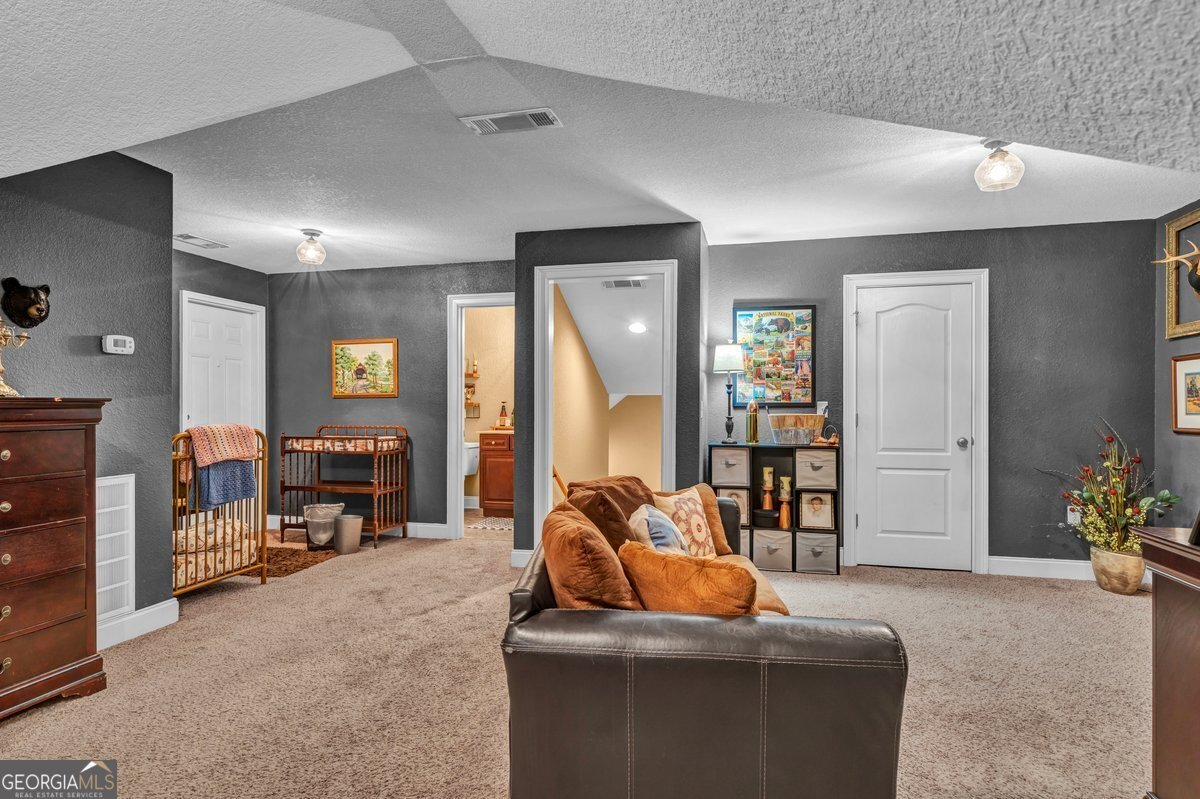 315 Old Pine Road Dudley - Photo 59