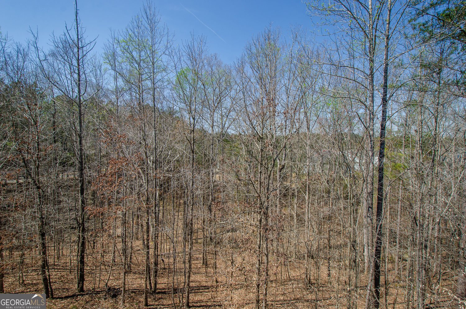 103 Academy Lane Canton - Photo 55