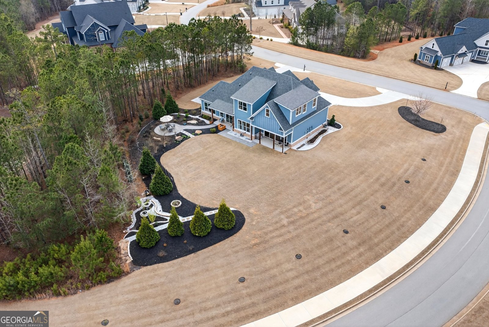 61 Forest Berry Court Newnan - Photo 72