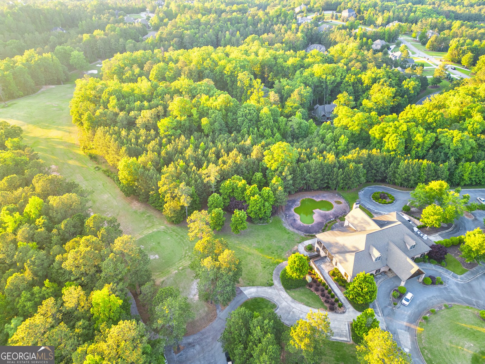 61 Forest Berry Court Newnan - Photo 86