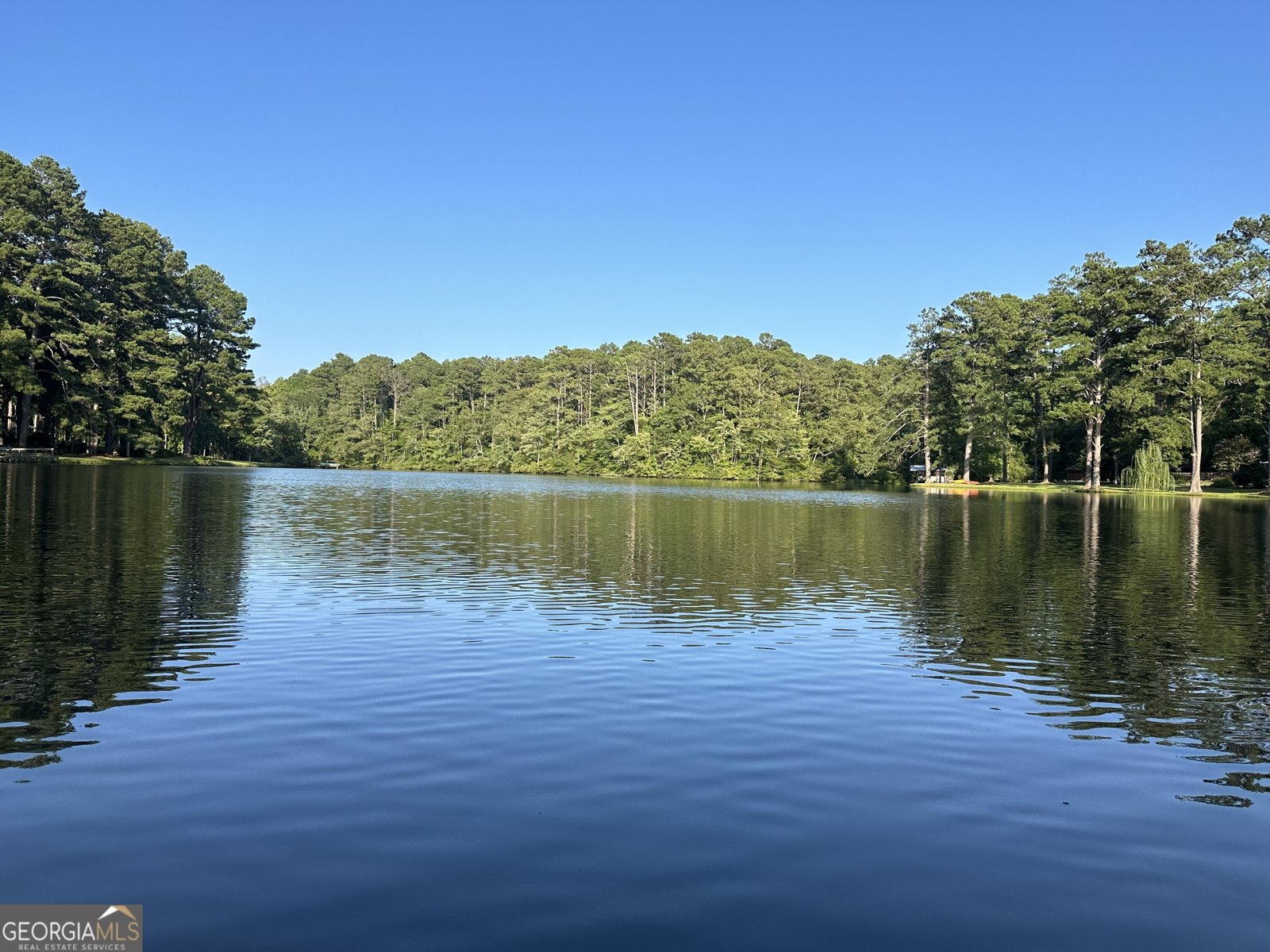 75 Mikes Lane Sharpsburg - Photo 10