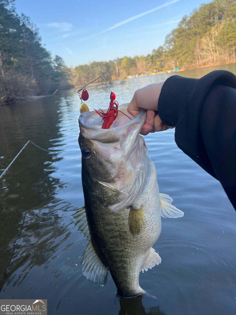 75 Mikes Lane Sharpsburg - Photo 128