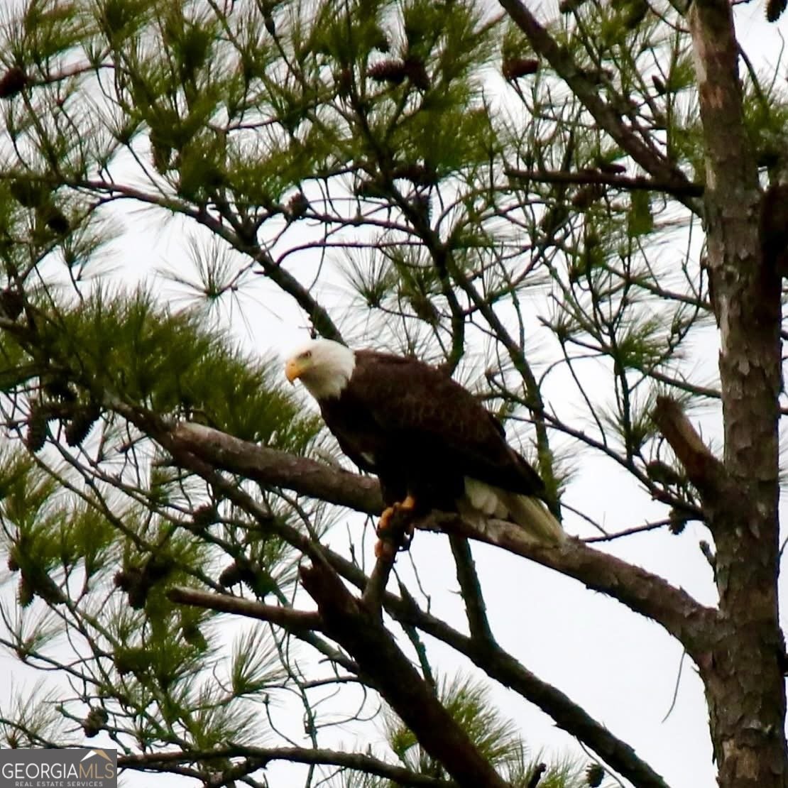 75 Mikes Lane Sharpsburg - Photo 132
