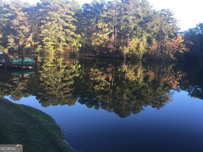 75 Mikes Lane Sharpsburg - Photo 136