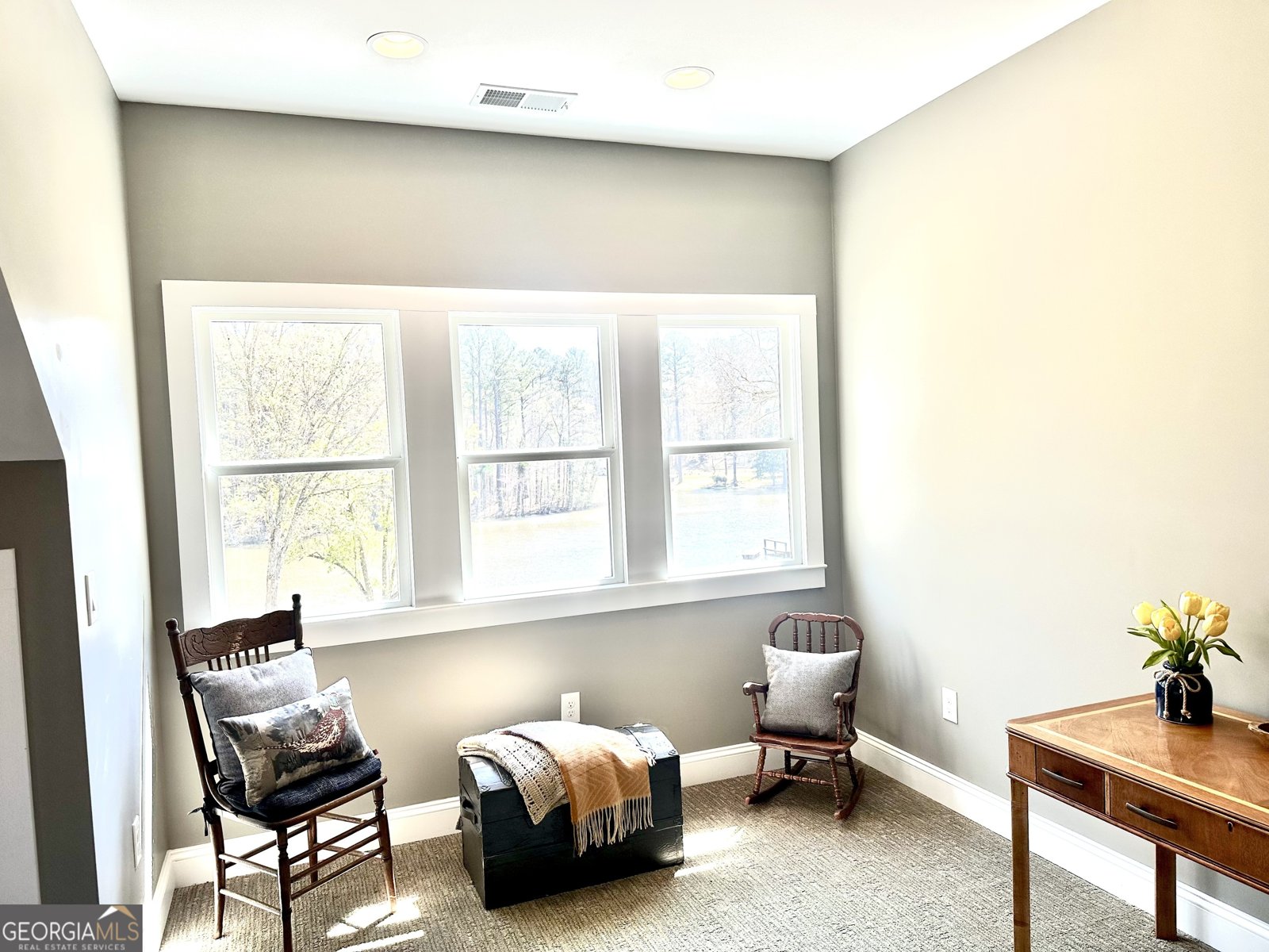 75 Mikes Lane Sharpsburg - Photo 71