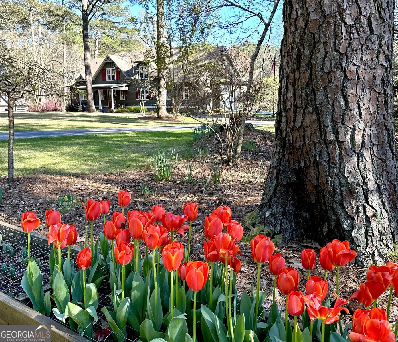 75 Mikes Lane Sharpsburg - Photo 8