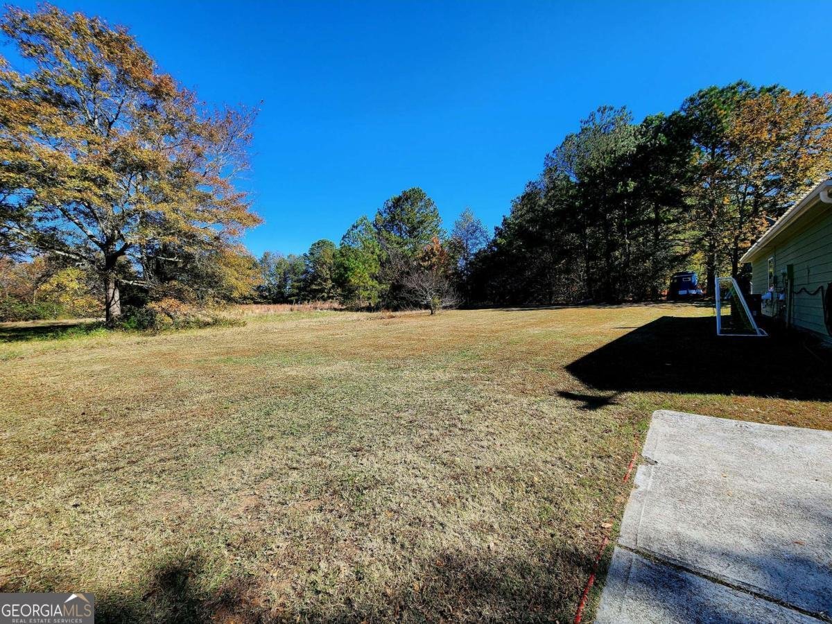 3920 Rosebud Road Loganville - Photo 33