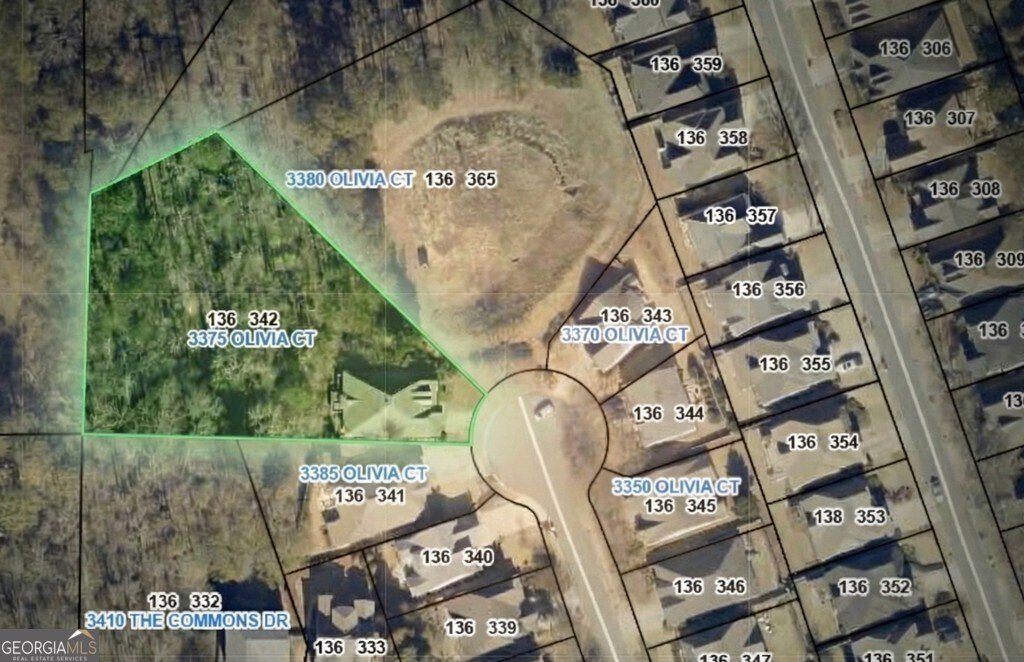 3375 Olivia Court Cumming - Photo 53