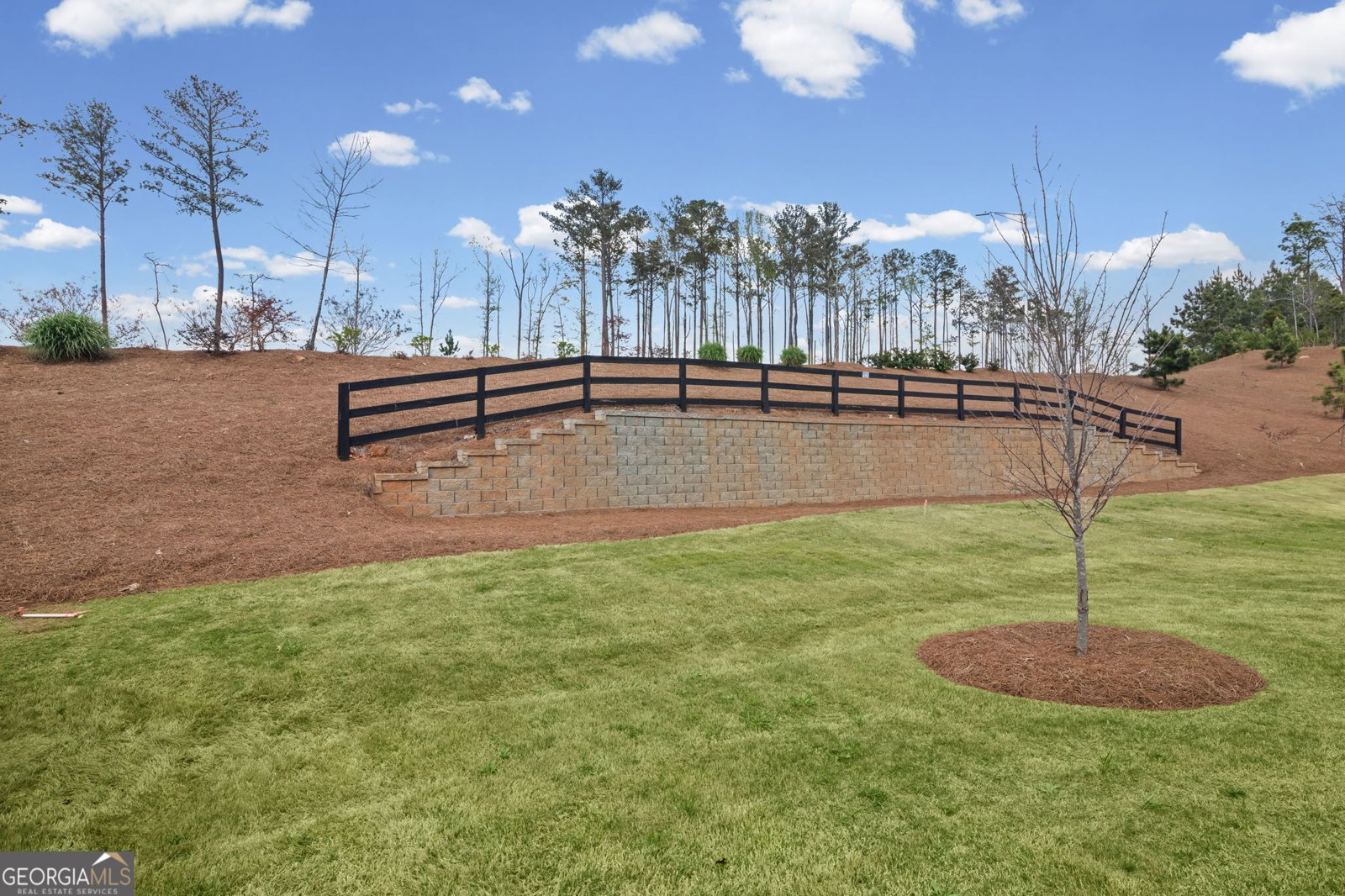 12 Russet Way Newnan - Photo 39