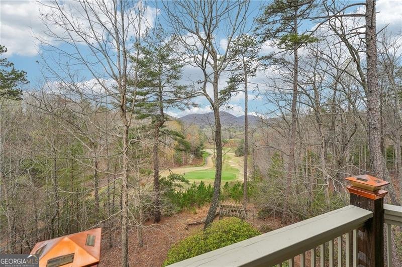 44 Kilmartin Point Big Canoe - Photo 64