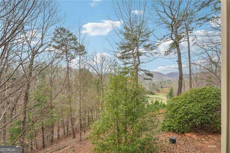 44 Kilmartin Point Big Canoe - Photo 67