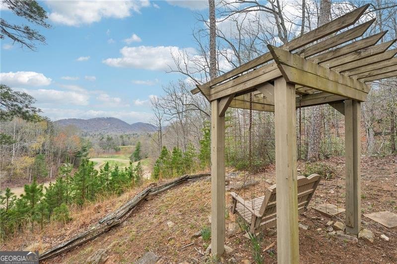 44 Kilmartin Point Big Canoe - Photo 68