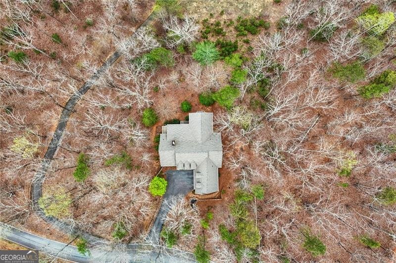 44 Kilmartin Point Big Canoe - Photo 75