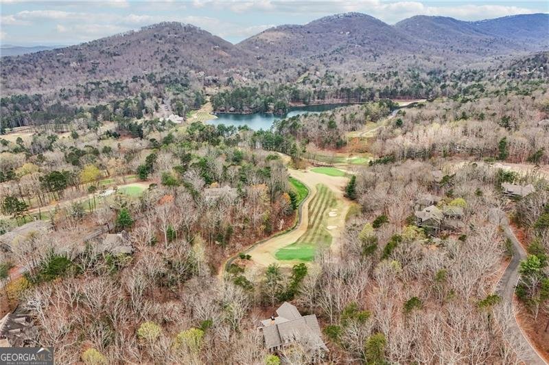 44 Kilmartin Point Big Canoe - Photo 77