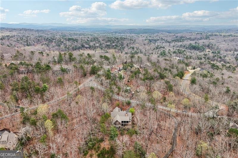 44 Kilmartin Point Big Canoe - Photo 78