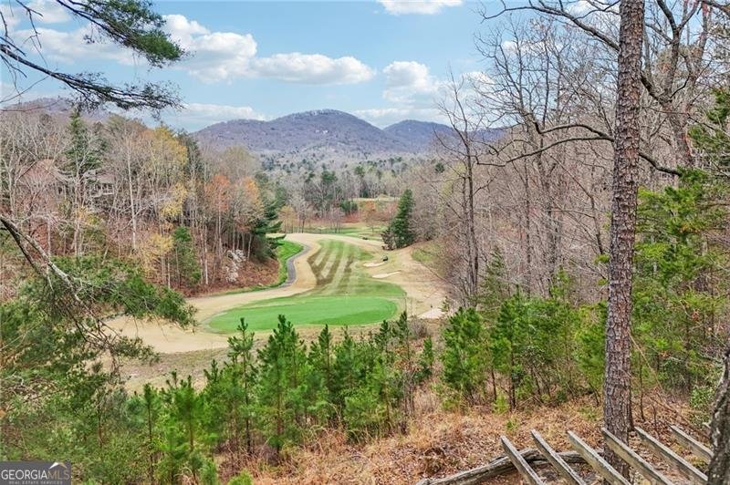 44 Kilmartin Point Big Canoe - Photo 82