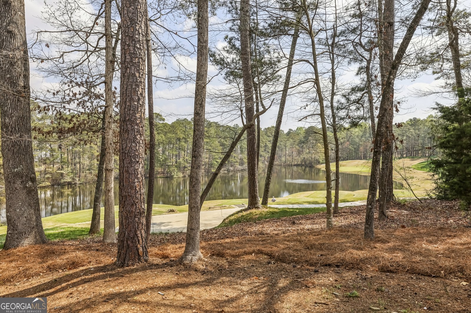 1165 Beacon Hill Crossing Alpharetta - Photo 52