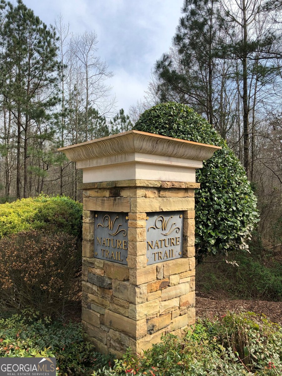 220 Revillion Way Woodstock - Photo 32