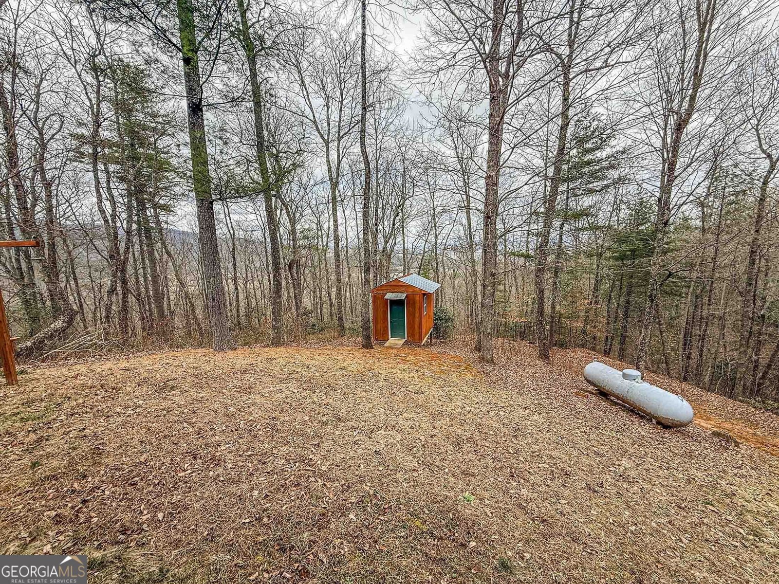 513 Coleman Heights Rabun Gap - Photo 33