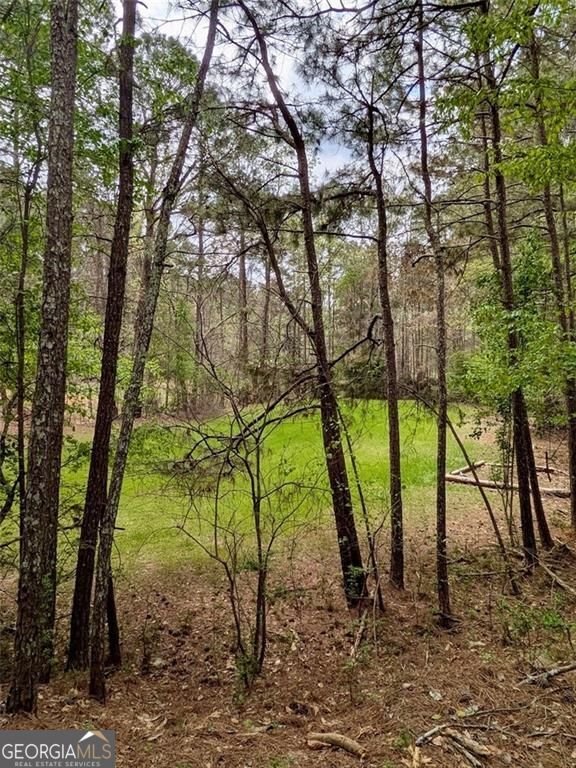 16040 Henderson Road Milton - Photo 15