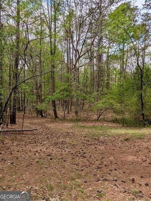 16040 Henderson Road Milton - Photo 9