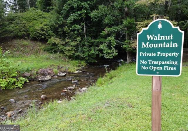 705 Laurel Ridge Drive Ellijay - Photo 59