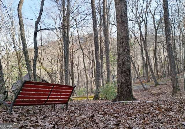 705 Laurel Ridge Drive Ellijay - Photo 6