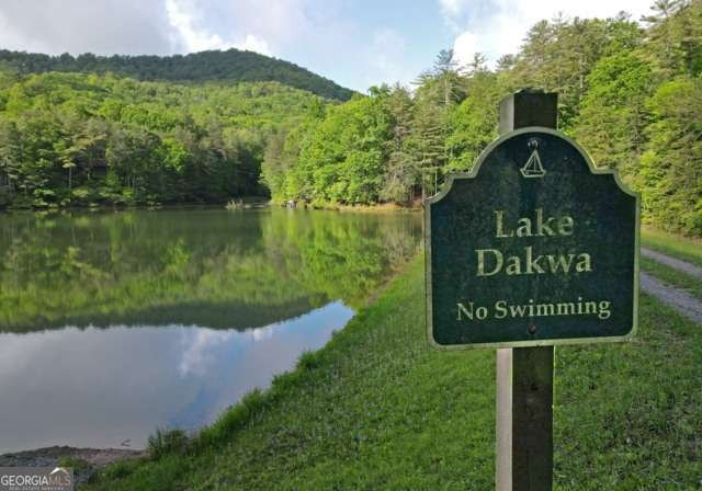 705 Laurel Ridge Drive Ellijay - Photo 68