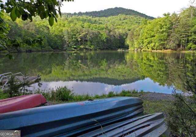 705 Laurel Ridge Drive Ellijay - Photo 69