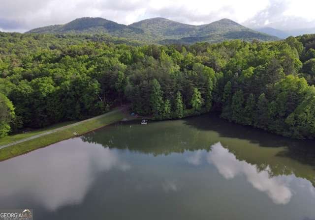 705 Laurel Ridge Drive Ellijay - Photo 70