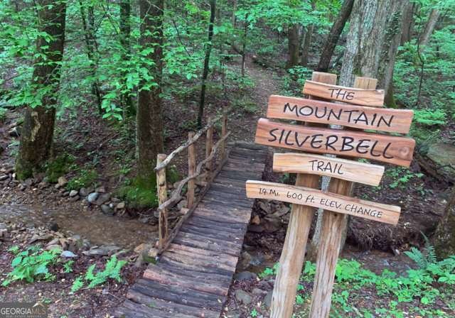 705 Laurel Ridge Drive Ellijay - Photo 75