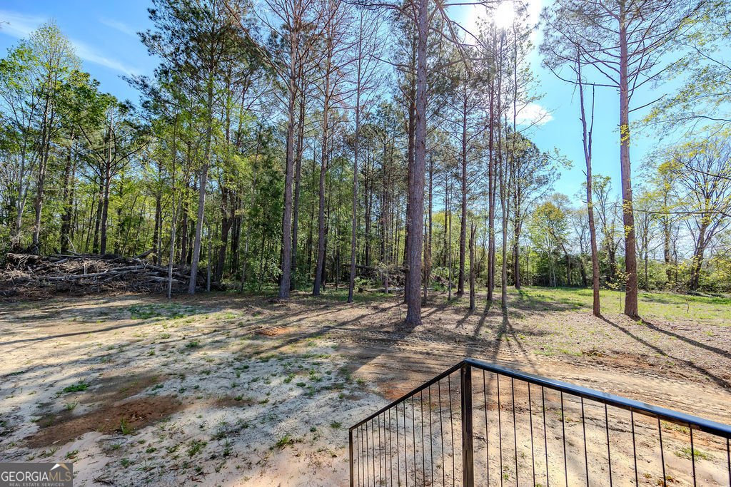 226 Mullis Street Dexter - Photo 33