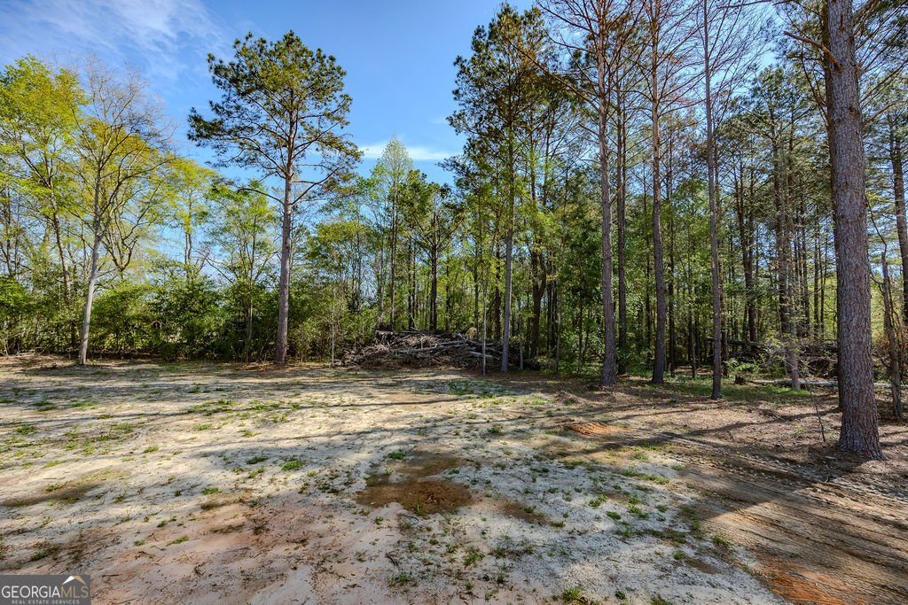 226 Mullis Street Dexter - Photo 36