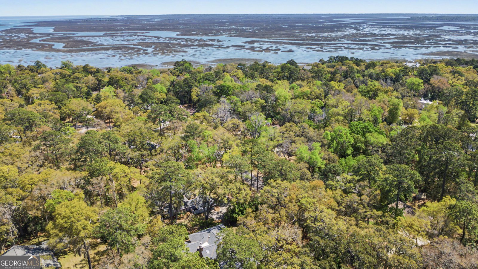 113 Mercer Road Savannah - Photo 53