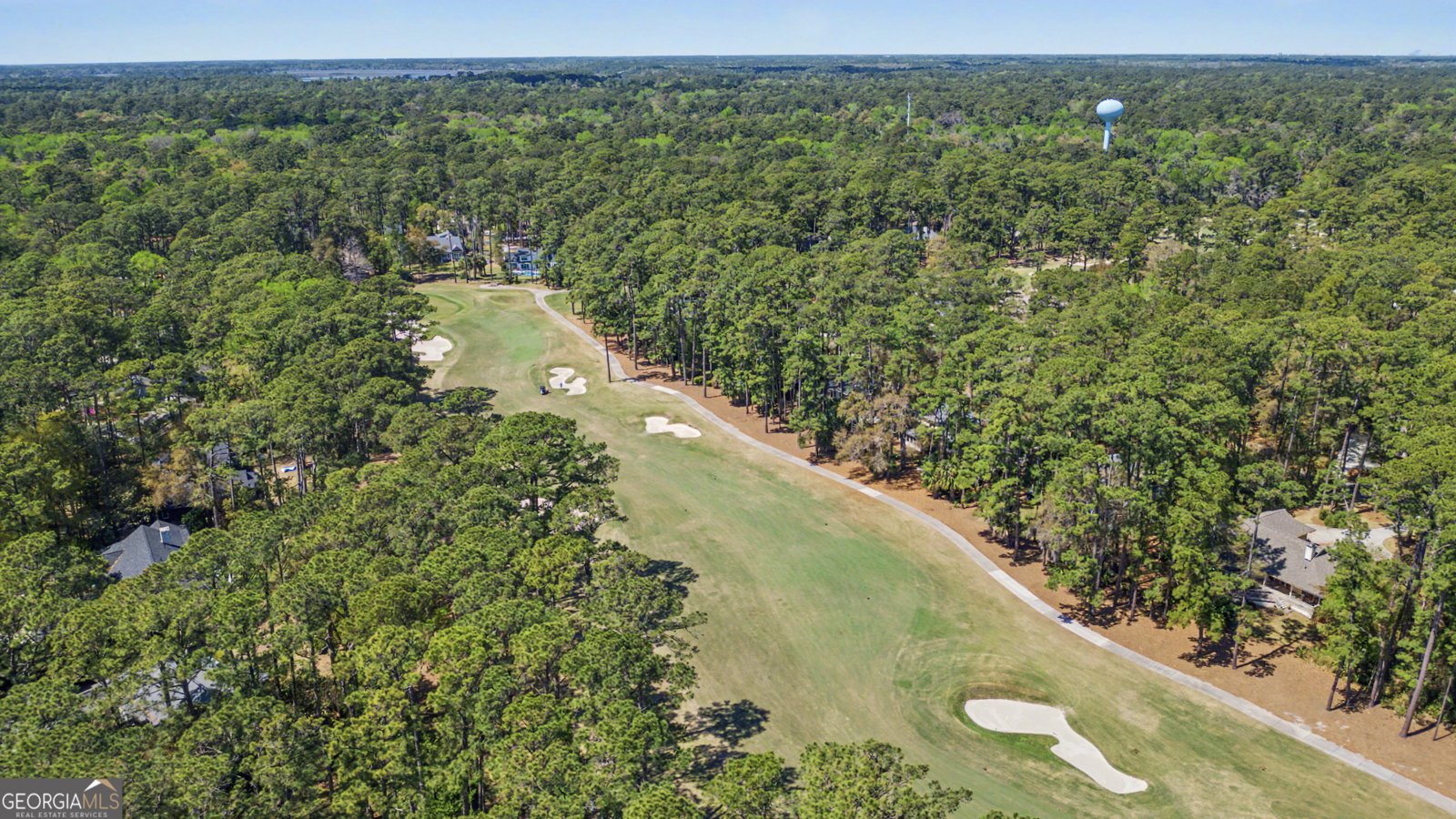 113 Mercer Road Savannah - Photo 54