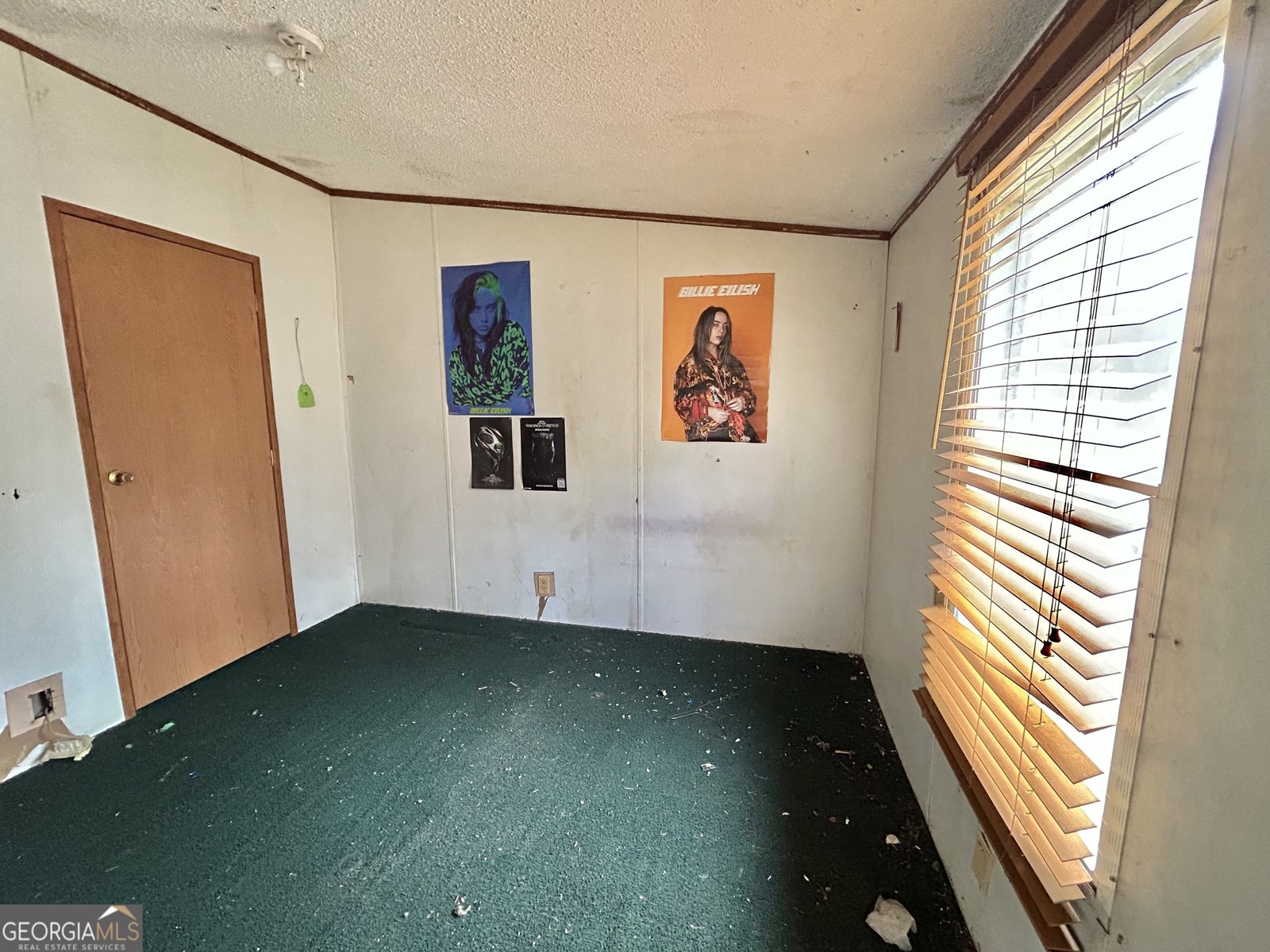 1299 Bodie Rayle Road Elberton - Photo 10