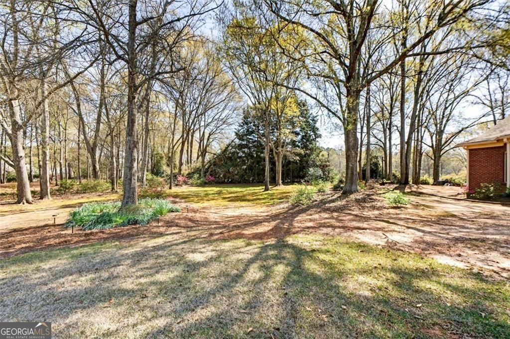 1106 Sequoia Trail McDonough - Photo 54