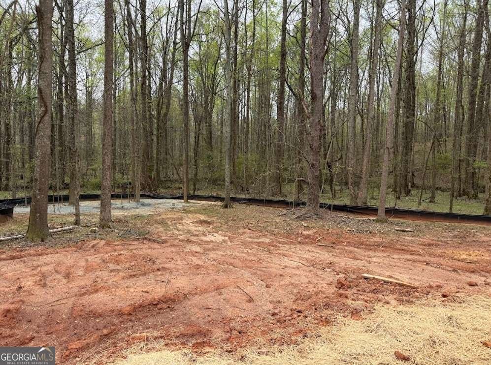 334 Ridgewood Road Jefferson - Photo 6