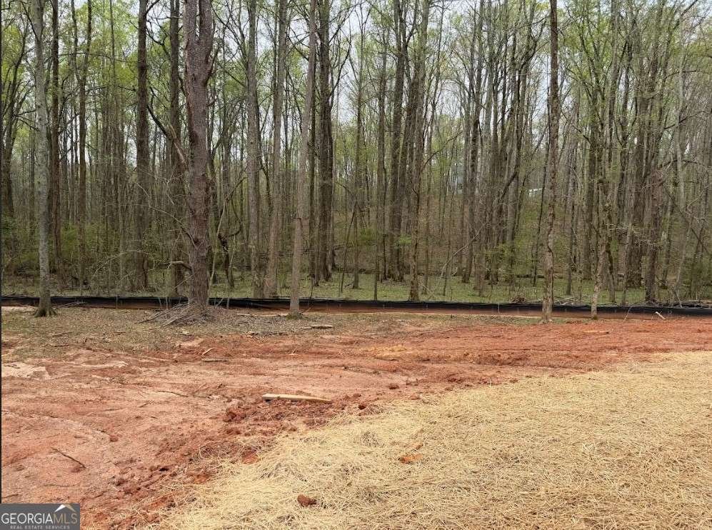 334 Ridgewood Road Jefferson - Photo 7