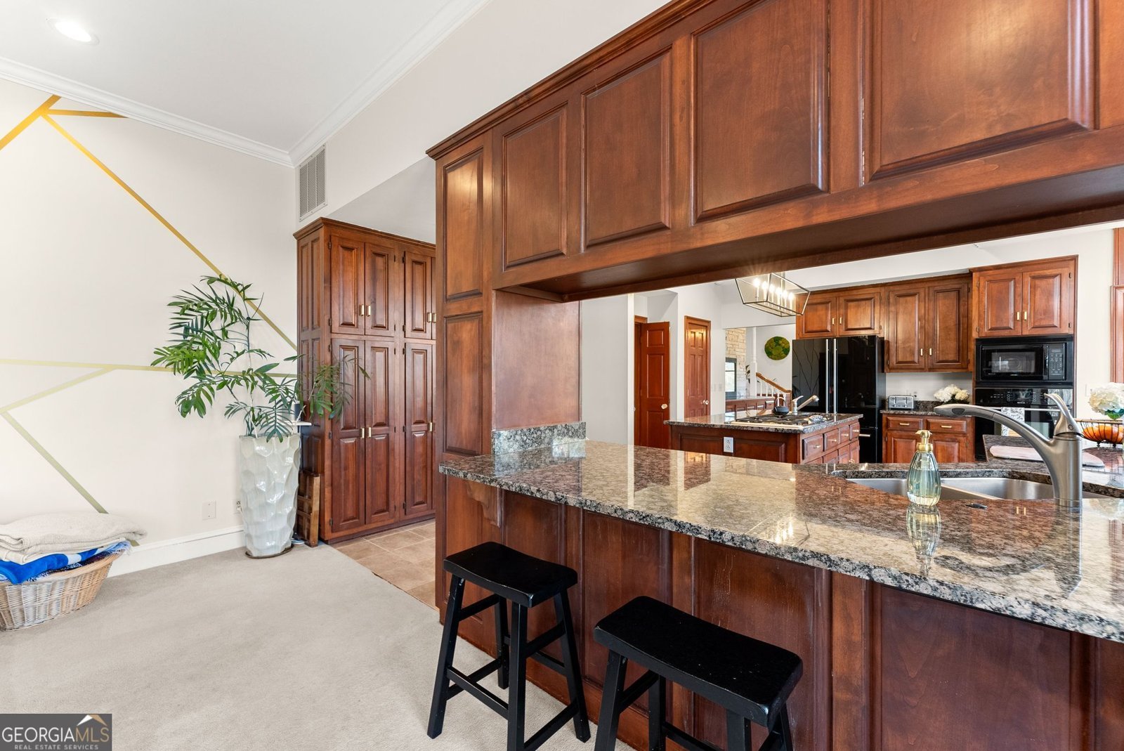 1100 Ramser Drive Watkinsville - Photo 29