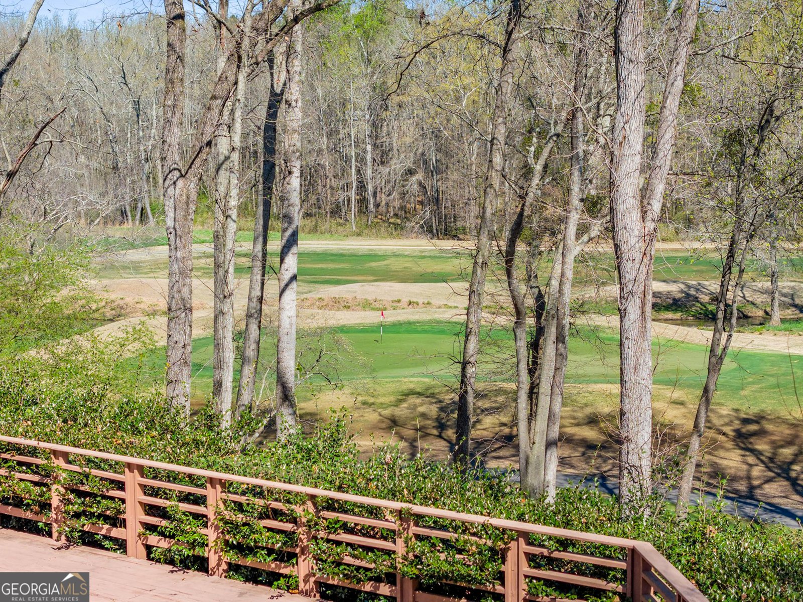 1100 Ramser Drive Watkinsville - Photo 88