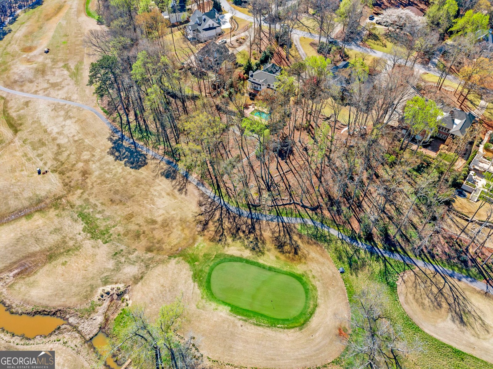 1100 Ramser Drive Watkinsville - Photo 94