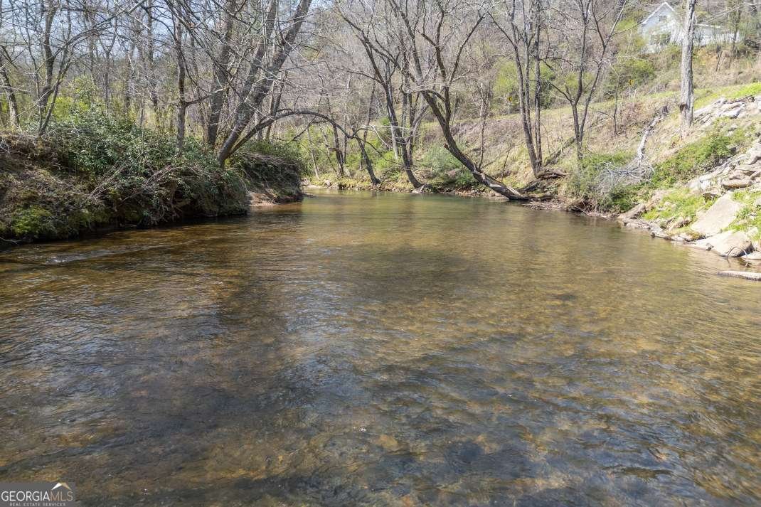 4494 Gainesville Highway Blairsville - Photo 38