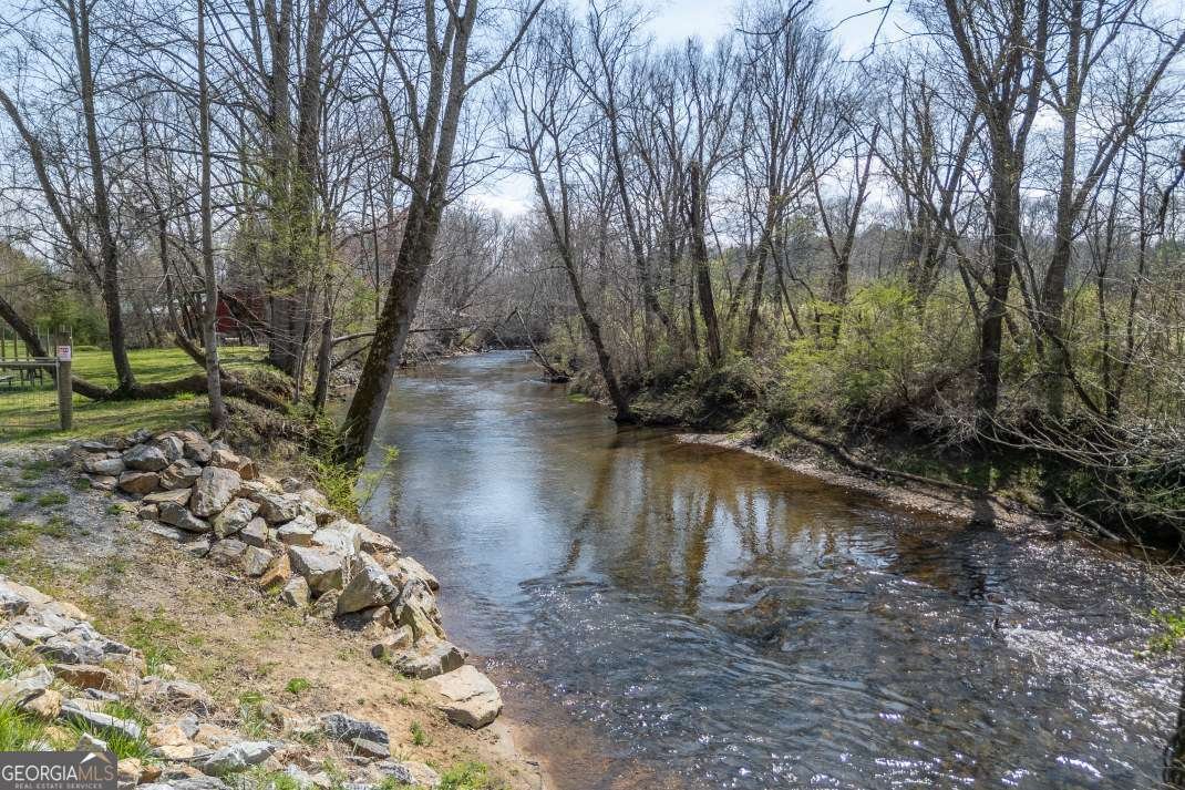 4494 Gainesville Highway Blairsville - Photo 40