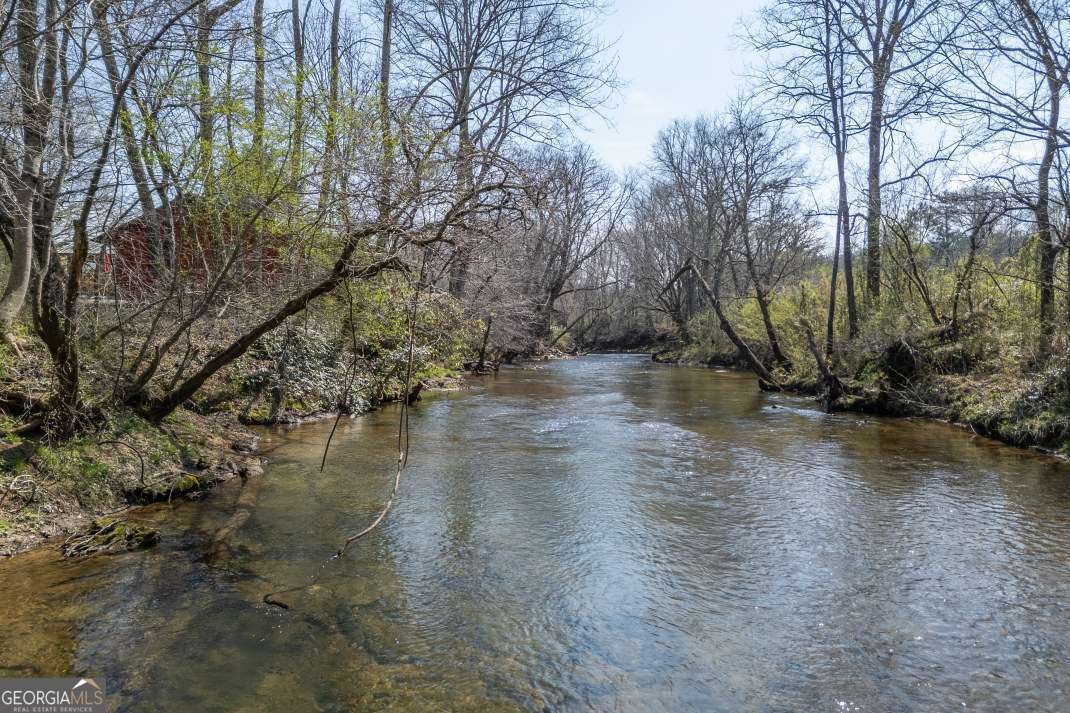 4494 Gainesville Highway Blairsville - Photo 41