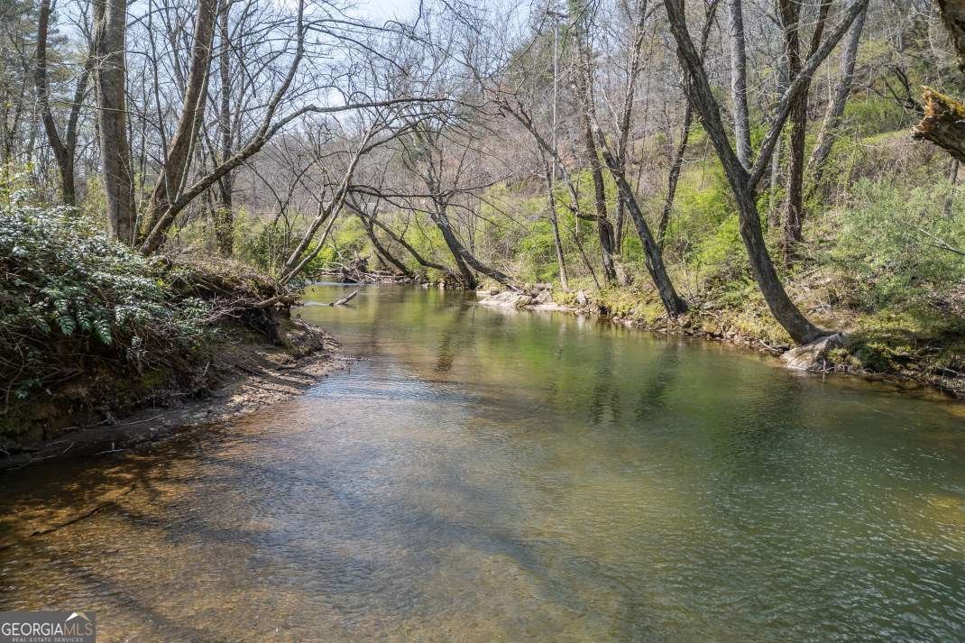 4494 Gainesville Highway Blairsville - Photo 44