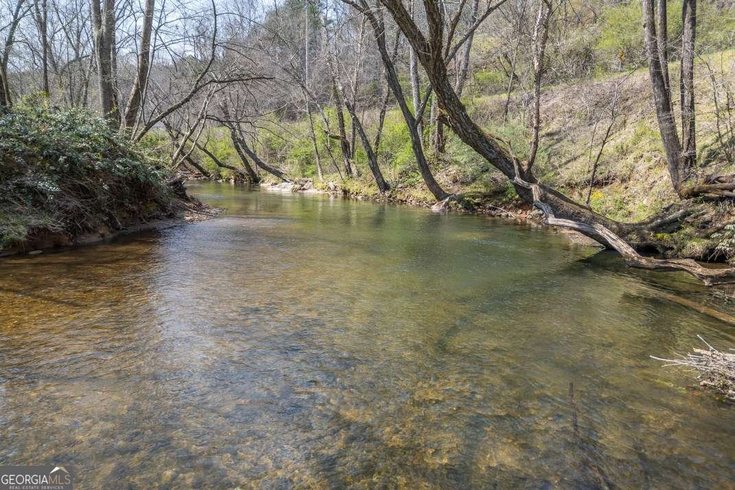 4494 Gainesville Highway Blairsville - Photo 45