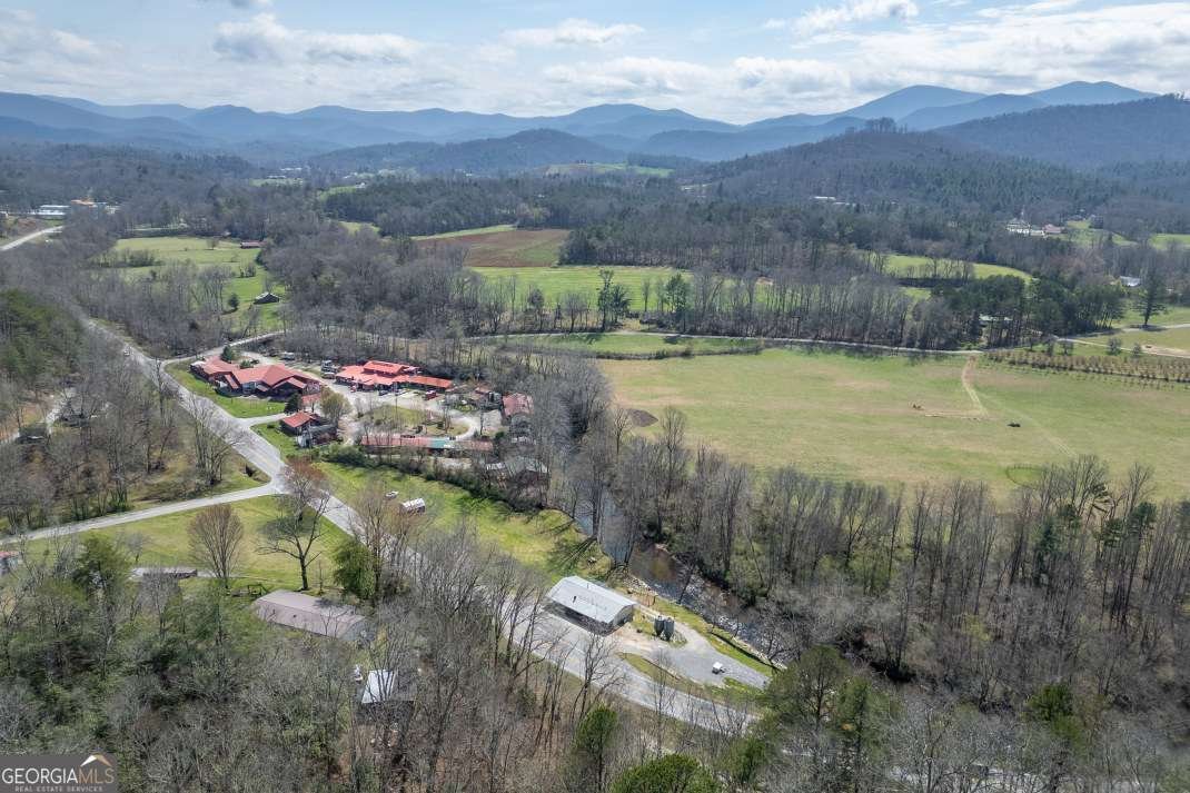 4494 Gainesville Highway Blairsville - Photo 58